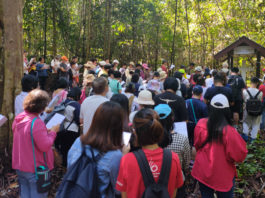 Renewal of faith for 160 pilgrims to the Gethsemane Pilgrimage Centre