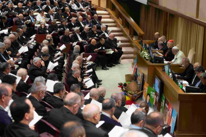 CNS-SYNOD-ENVIRONMENT-INCULTURATION-1