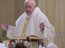 Pope at Mass: many fires of war today – true peace is sown in the heart