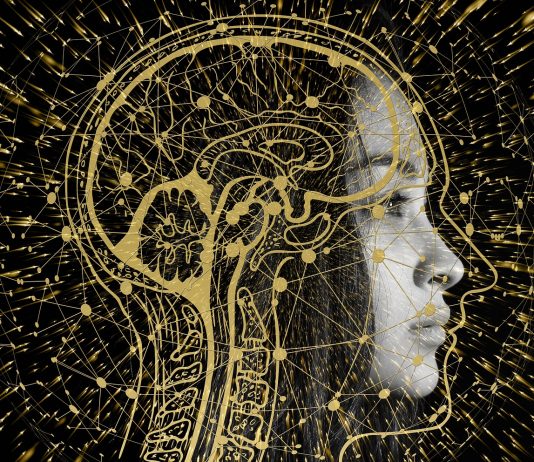 Pope’s November prayer intention: that progress in robotics and AI “be human”