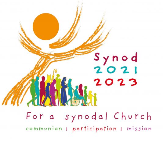 Synodality: What is that?