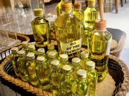 Para paderi memperbaharui Ikrar Pentahbisan pada Misa Krisma