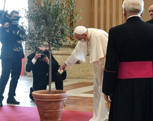 Pope: Sweet song of praise for Creation has become ‘anguished plea’