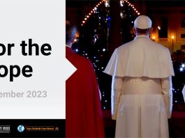 Pope’s November prayer intention: For the Pope