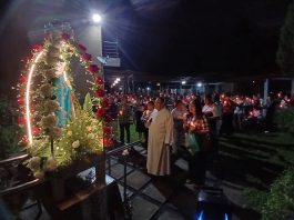 天主之母堂圣母像游行