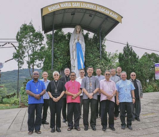 The Journey of Synodality continues