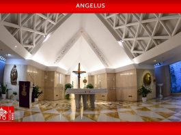 Pope celebrates motherhood: Let us praise God for the miracle of life