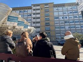 Pope Francis calls for peace and unity in Angelus address