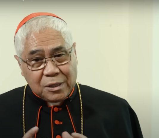 Singapore’s Cardinal Goh speaks about his first experience voting in conclave, compares it with the movie