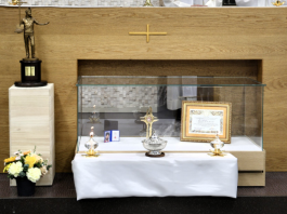 St. Carlo Acutis’ relics find permanent home at WYD Seoul 2027 Chapel