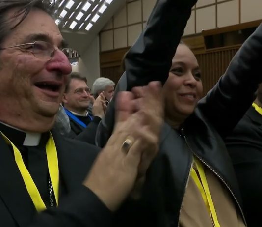 Pope Leo dialogues with Synod teams and participants