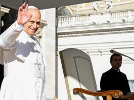 Pope at Audience: We must lend our voice to those who have none