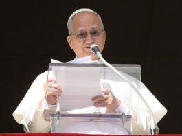 Pope at Angelus: Trust God’s timing, bring the Gospel everywhere