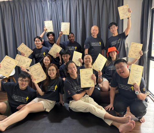 Chinese Leadership Development Formation