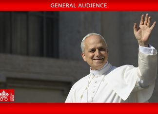 Pope at Audience: Church’s hierarchy born from Christ to proclaim Gospel