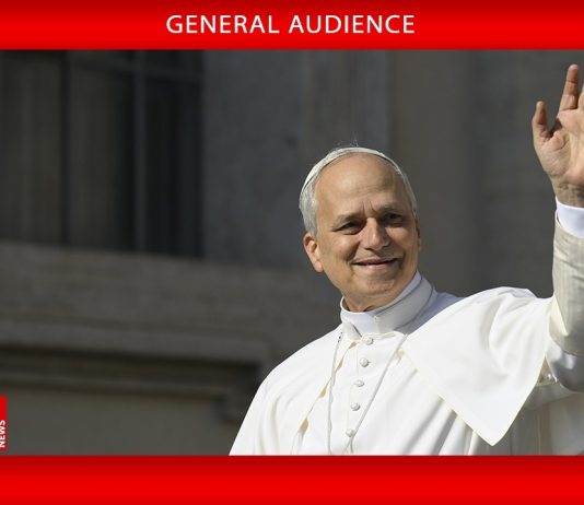 Pope at Audience: Church’s hierarchy born from Christ to proclaim Gospel