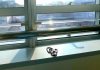 There’s something about hospitals