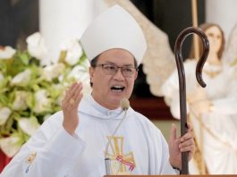 Cardinal David: When good people abandon politics, bad politics wins