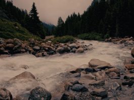 Pope’s September prayer intention‘For the care of water’