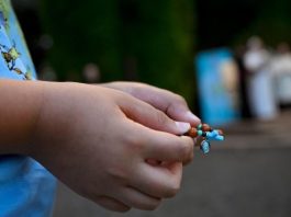 Pope: Mary is ‘safe refuge’ amidst life’s difficulties
