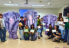 Malaysia: Wildlife Artist Christine Das Leads Catholics in Reflection on Elephants and Care for creation