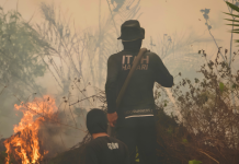 Singapore Catholics Link Indonesian Forest Fires to Call for Ecological Conversion