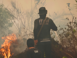 Singapore Catholics Link Indonesian Forest Fires to Call for Ecological Conversion