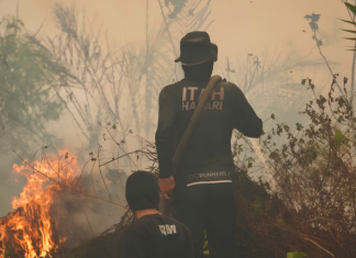 Singapore Catholics Link Indonesian Forest Fires to Call for Ecological Conversion